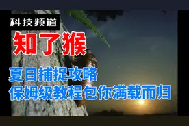 知了猴 夏日捕捉攻略，保姆级教程包你满载而归！