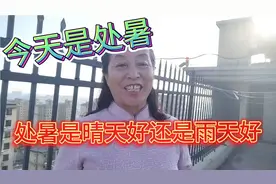 今天是处暑！处暑是晴天好？还是雨天好？看看农谚怎么说！