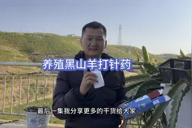 养殖黑山羊要想羊儿肥就要喂打虫药，黑山羊感冒该使用什么药视频封面