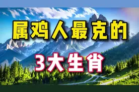 属鸡人一生最克的3大生肖,不适合在一起,看看有你吗_视频封面