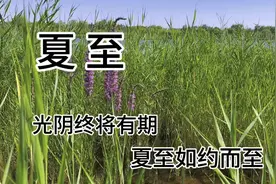 今天是夏至，是一年中正午太阳高度最高、白天时间最长的一天。视频封面