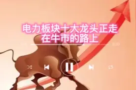别被大盘的下跌蒙蔽了自己的眼睛，看看电力板块的走势吧。视频封面