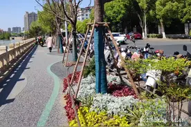 午后三时许，古运河畔漫步，
走上“买菜桥”去朝阳农贸市场…视频封面