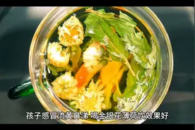孩子感冒流黄鼻涕喝金银花薄荷饮效果好视频封面