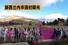 新西兰内衣围栏曝光，号称最流氓的地方，你敢来吗？视频封面