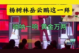 唢呐为王！唢呐一响，黄金万两！杨树林的唢呐真精彩！视频封面