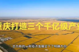 市长胡衡华宣布重庆布局三大千亿产业 火锅粮油畜牧引领经济风向视频封面