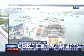 关注“摩羯”动态：明天12点前海口美兰机场航班预计全部取消视频封面