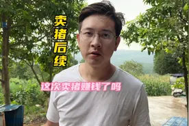 养150头猪能赚几十万？正好卖了猪！今天我来给大家算下账！视频封面