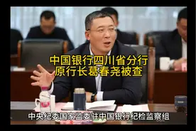 中国银行四川省分行原行长葛春尧被查视频封面