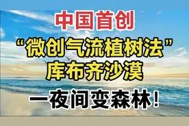 中国首创“微创气流植树法”，库布齐沙漠一夜间变森林!