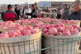 都叫烟台栖霞苹果，批发市场比较其实品种并不一样，你吃的正宗吗视频封面