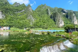 9月广西都安的海菜花又盛开了，现在的山水很美，赶紧出发吧视频封面