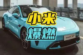 智能驾驶“失灵”？小米SU7高速爆燃，责任谁来担？视频封面