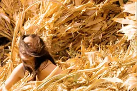 《柳白猿》国产经典武侠片，众多大腕出演 #抖音午夜放映厅视频封面