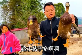 天气寒冷小孩子要吃烤鸭，抓3只两只炖汤一只烤，看看哪种好吃。视频封面