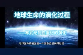 地球生命（寒武纪到白垩纪的演化）