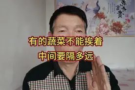 黄瓜、番茄等这些不能挨着种植的蔬菜，中间要隔多远。其实很简单