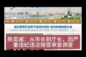陈奕威：从市长到厅长，因严重违纪违法接受审查调查视频封面