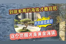到底多高的海拔才最宜居，并不是越低越好，这个范围才是黄金海拔视频封面