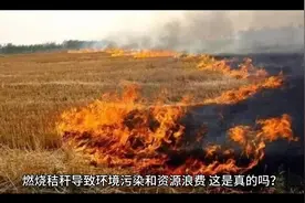 那个提出禁止焚烧秸秆且被国家执行的专家，他竟是日本间谍？