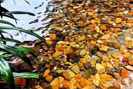 韶关冷泉滩视频封面