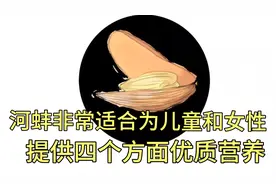 河蚌非常适合为儿童和女性提供四个方面优质营养视频封面