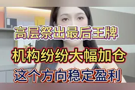 高层祭出最后王牌，机构纷纷大幅加仓，这类股票稳定盈利视频封面