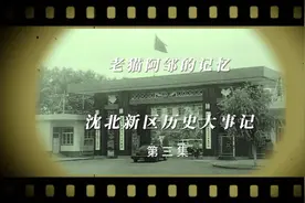 【老猫阿邹的记忆】沈北新区历史大事记