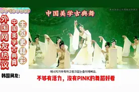 中国“古典美学”在外网杀疯了，西方人心中的顶流，中国人的骄傲视频封面