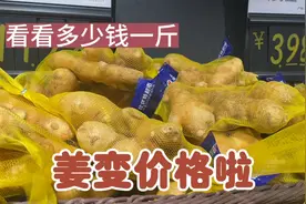姜变价格啦，天冷了我们去看看今天的姜多少钱一斤？感觉便宜吗视频封面
