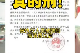 限高后找黄牛买机票？可刑！#限高 #律师#被执行人 #限制高消费 #法律咨询视频封面
