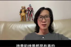 雄黄有毒 雌黄也有毒 #雄黄酒 #端午节 #雄黄 #雌黄视频封面