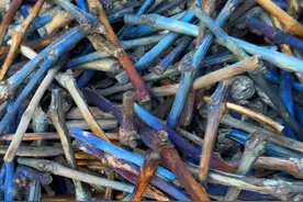 朋友邮寄过来的葡萄藤，今天放进炭化炉里炭化一下#制作木炭全过程 #乡村生活 #农村生活 #自制木炭 #乡村守护人 @DOU+小助手