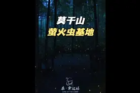 萤火虫要避开光源，所以拍照不可以开闪光灯哦🥰