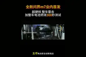 全新问界m7超硬核测试！300秒整车电池燃烧+雷击测试   #鸿蒙智行秋季新品发布会  #尚界H5 #全新问界M7