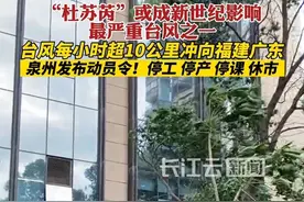 台风每小时超10公里冲向福建广东，泉州发布动员令：停工（业）、停产、停课、休市视频封面