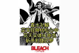 #境界bleach 相克谭第九集，春水卍解花天狂骨枯松心中视频封面