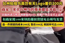 始祖鸟高仿有无Logo差价200元（蓝鲸新闻）视频封面