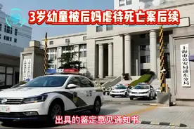 3岁幼童被继母虐待后死亡案有了新进展。10月20日视频封面