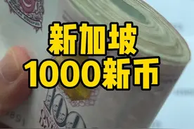 新加坡1000新币#新加坡 #海外生活 #新加坡1000新币 #留学生生活日常视频封面