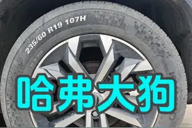 大狗的锦湖轮胎是真难找，不仅这品牌轮胎不好找视频封面