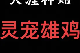 公鸡是阳气至盛之物，能护主辟邪！#天涯神贴 #道家文化 #灵宠视频封面