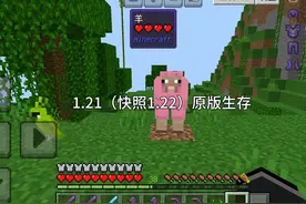 我的世界：国际版 我的世界纯原版1.22 小伙M5 #我的世界直接玩
