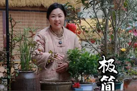 最后你会发现，养鱼的尽头是裸缸！花里胡哨的生态缸只会耗费你大量的时间和金钱，还不一定能把鱼养好#生态缸 #鱼缸 #古法养鱼 #我的乡村生活 #小院改造