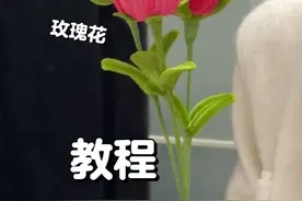 下期教大家百合花～ #手工diy #扭扭棒手工 #扭扭棒玫瑰花 #玫瑰花 #扭扭棒的100种玩法