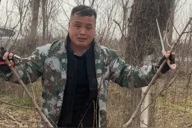 小桃树修剪技术 #新农人计划2024 #桃树修剪 #我在网上学种地 #来抖音学农枝 #乡村生活家视频封面