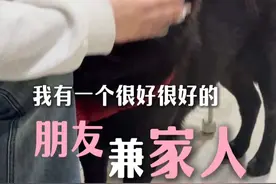 我有个很好很好的朋友兼家人 #我家的小土狗#家人#中华田园犬视频封面