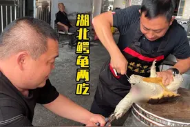 湖北大哥做土货，800元一只鳄龟两吃，凶猛无比像宰牛#湖北美食