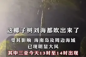 #台风“蝴蝶”7级风圈已触达海南岛，#三亚现11级最大阵风